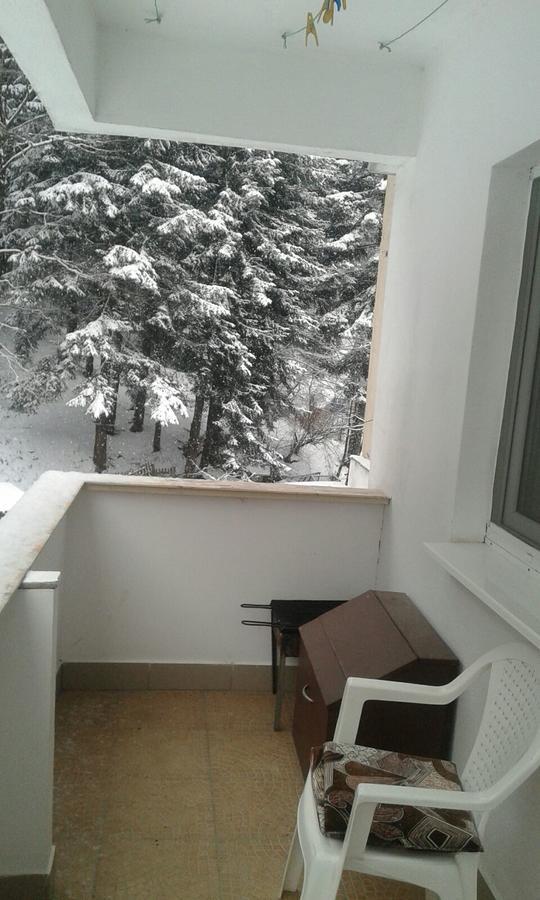 Apartament Nemira Slanic Moldova Exterior photo